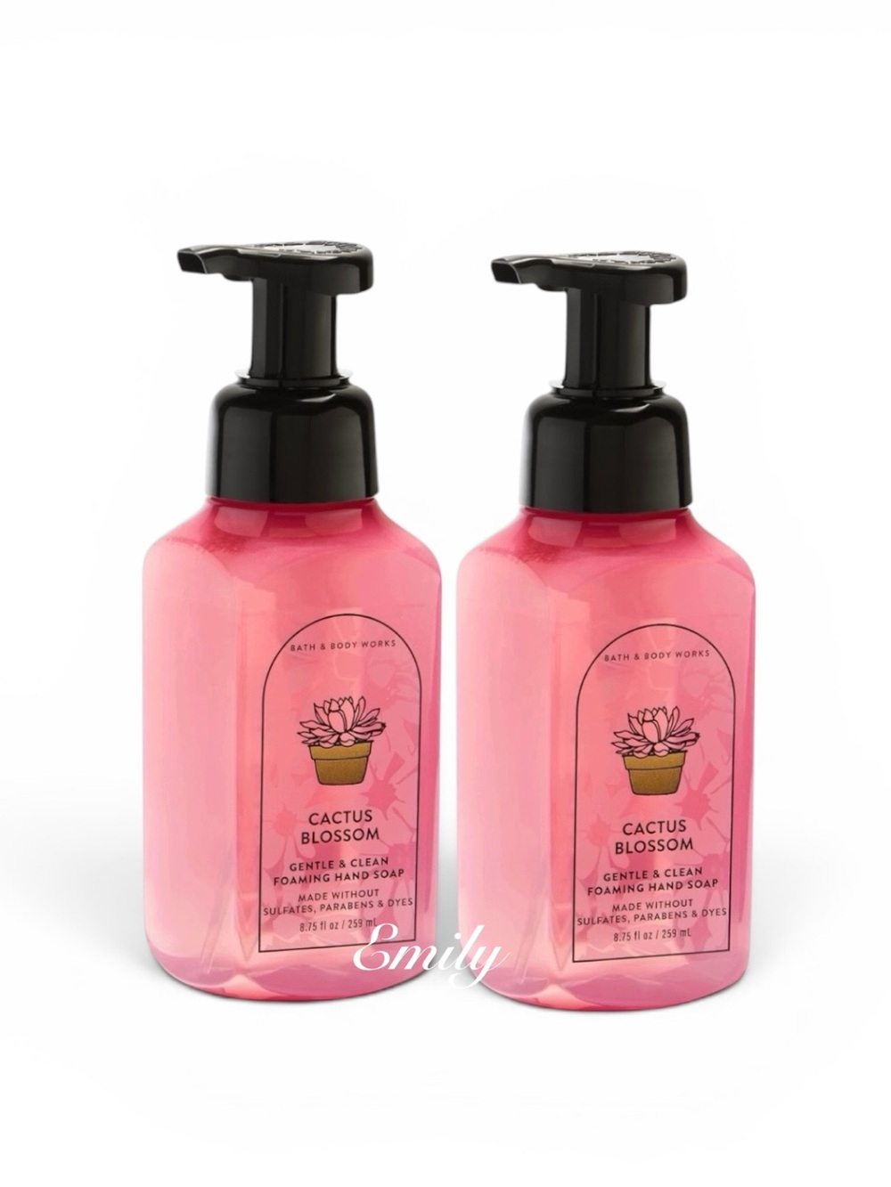 NEW 2-Pc Bath & Body Works CACTUS BLOSSOM Foaming Hand Soap Set from the Vault
